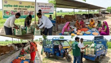 यूपी में ‘जहर मुक्त भोजन’ अभियान की तैयारी, गोशालाएं बनेंगी सप्लाई सेंटर