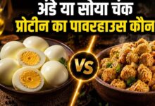 अंडा vs सोया चंक्स: प्रोटीन के मामले में कौन है ज्यादा फायदेमंद, जानिए एक्सपर्ट्स की राय