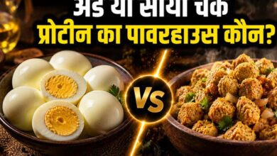 अंडा vs सोया चंक्स: प्रोटीन के मामले में कौन है ज्यादा फायदेमंद, जानिए एक्सपर्ट्स की राय
