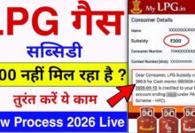 ₹300 सस्ता LPG सिलेंडर कैसे पाएं? 10 करोड़ से ज्यादा परिवार उठा रहे इस योजना का लाभ