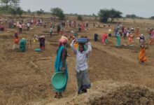 महात्मा गांधी नरेगा से जल संरक्षण का महाअभियान, रोजगार और आजीविका को मिली नई ताकत