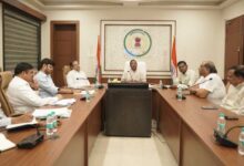 किसानों की आय बढ़ाने छत्तीसगढ़ में बासमती धान मिशन की तैयारी, अंतरराष्ट्रीय बाजार की मांग पर फोकस