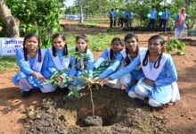 हरित विकास, जल संरक्षण और जनभागीदारी से पर्यावरणीय समृद्धि की ओर बढ़ता छत्तीसगढ़
