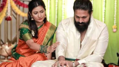 सुपरस्टार यश ने अलीबाग में खरीदी करोड़ों की प्रॉपर्टी, बने बॉलीवुड सितारों के पड़ोसी
