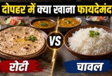 गर्मी में चावल या रोटी? एक्सपर्ट्स ने बताया दोपहर के लिए क्या है बेहतर विकल्प