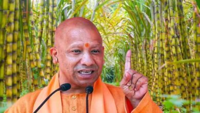 यूपी के गन्ना किसानों को 3.22 लाख करोड़ का रिकॉर्ड भुगतान, बदली खेती की तस्वीर
