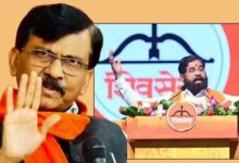 शिंदे बनाम ठाकरे: ‘कुत्ता-शेर’ बयान पर महाराष्ट्र की सियासत गरमाई, संजय राउत का पलटवार