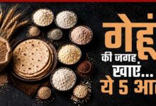 गेहूं का हेल्दी विकल्प: 5 हाई-फाइबर आटे जो बढ़ाएं सेहत