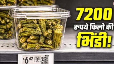 अमेरिका में 540 रुपये की भिंडी, कीमत सुनकर रह जाएंगे हैरान
