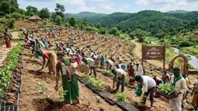 पर्यावरण दिवस पर यूपी ने पूरा किया 5 करोड़ पौधे लगाने का लक्ष्य