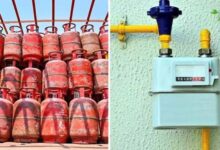 PNG कनेक्शन वालों के लिए बड़ा नियम, 30 दिन में LPG कनेक्शन सरेंडर जरूरी