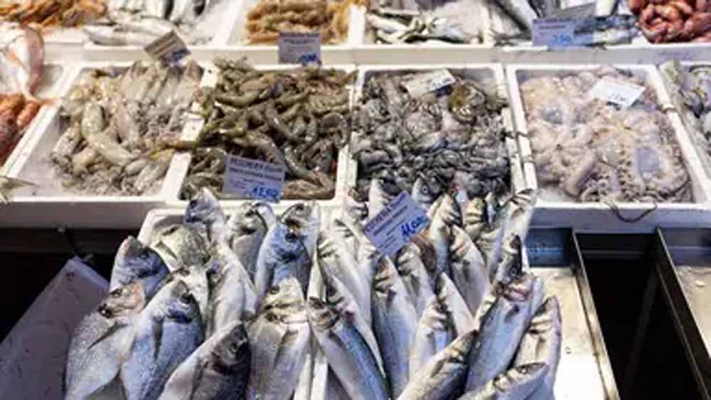 वाराणसी में बड़ा फैसला: शहर के भीतर मीट-मछली की दुकानें होंगी बाहर शिफ्ट वाराणसी में बड़ा फैसला: शहर के भीतर मीट-मछली की दुकानें होंगी बाहर शिफ्ट