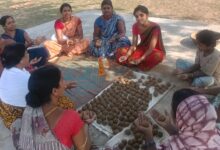 सीड बॉल बनाकर प्रकृति संरक्षण की अनूठी पहल, हरित जशपुर के निर्माण पर जोर