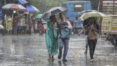 मानसून से पहले ही मेहरबान मौसम! MP में कोटे से 65% ज्यादा बारिश, ग्वालियर समेत कई जिलों में आंधी-पानी का अलर्ट