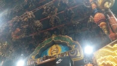 छिंदवाड़ा में मंदिर को SDM का नोटिस, 7 दिन का अल्टीमेटम; आस्था और सुरक्षा पर छिड़ी बहस