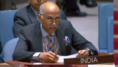 UNSC में भारत का पाकिस्तान पर तीखा प्रहार, बोला- ‘यह पाखंड का सबसे बड़ा उदाहरण’