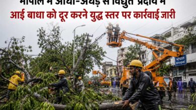 भोपाल में आँधी-अँधड़ से विद्युत प्रदाय में आई बाधा को दूर करने युद्ध स्तर पर कार्रवाई जारी