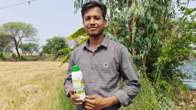 नैनो तकनीक से शैलेंद्र ने पकड़ी आधुनिक खेती की राह, बने मिसाल