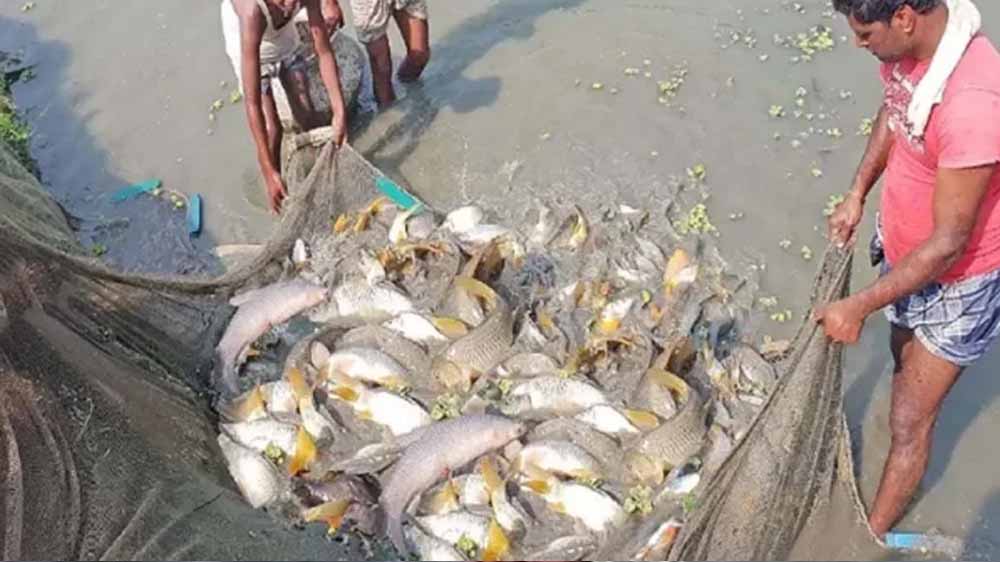 15 अगस्त तक मछली पकड़ने पर प्रतिबंध, प्रजनन काल में संरक्षण पर जोर 15 अगस्त तक मछली पकड़ने पर प्रतिबंध, प्रजनन काल में संरक्षण पर जोर