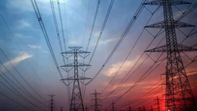 हाथी प्रभावित क्षेत्र में 33 केवी लाइन विस्तार पर हाईकोर्ट सख्त, सरकारों और बिजली कंपनी से मांगा जवाब