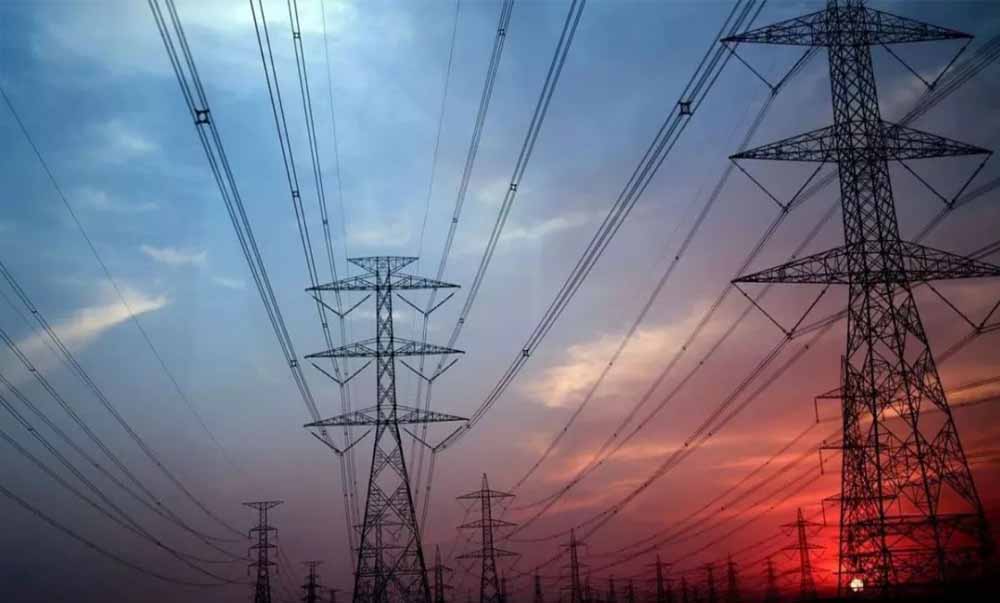 हाथी प्रभावित क्षेत्र में 33 केवी लाइन विस्तार पर हाईकोर्ट सख्त, सरकारों और बिजली कंपनी से मांगा जवाब