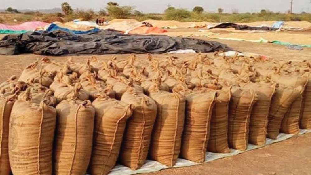 Bastar में उठाव नहीं होने से करोड़ों की धान सड़ी, किसानों की मेहनत पर फिरा पानी