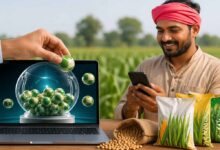 बीज उत्पादन योजना के लिए 10 से 24 तक होंगे पंजीयन, किसान रखें जरूरी दस्तावेज तैयार
