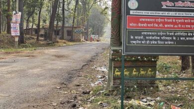 आज से बंद हुए CG के टाइगर रिजर्व और वन्यजीव अभयारण्य, पर्यटकों की एंट्री पर रोक आज से बंद हुए CG के टाइगर रिजर्व और वन्यजीव अभयारण्य, पर्यटकों की एंट्री पर रोक