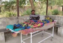 धमतरी में मधुमक्खियों का कहर, हमले में सास की मौत; दामाद की हालत गंभीर