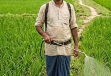 दीनदयाल भूमिहीन कृषि मजदूर कल्याण योजना में पात्र परिवारों को मिलेगी ₹10 हजार की सहायता