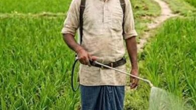 दीनदयाल भूमिहीन कृषि मजदूर कल्याण योजना में पात्र परिवारों को मिलेगी ₹10 हजार की सहायता