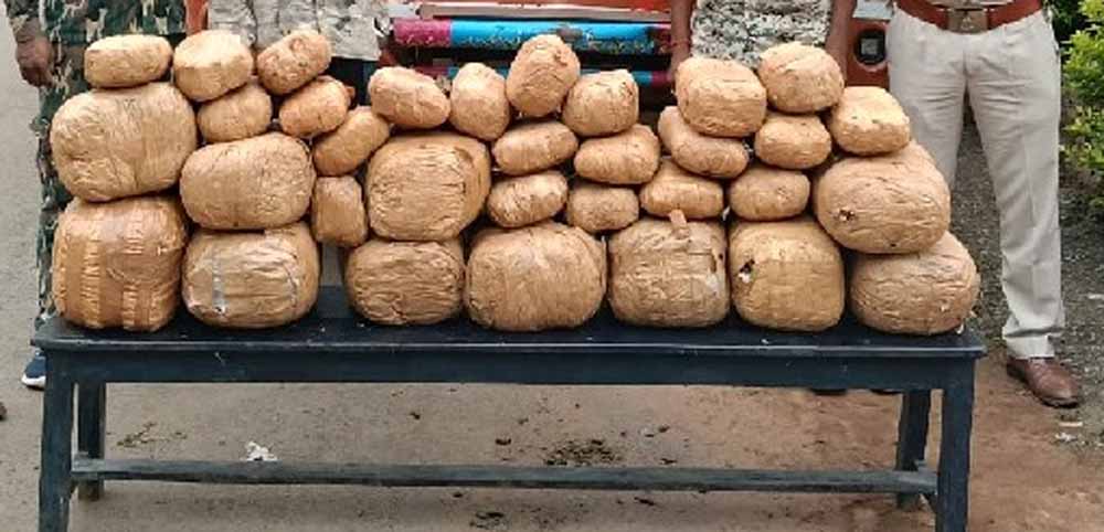 ओडिशा से राजस्थान जा रहा 1.44 करोड़ का गांजा पकड़ा, नाबालिग सहित 2 तस्कर गिरफ्तार