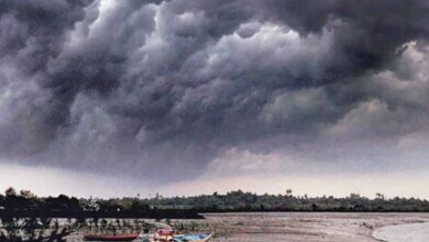 बस्तर में समय से पहले पहुंच सकता है मानसून, हवाओं की रफ्तार पर टिकी आगे बढ़ने की चाल बस्तर में समय से पहले पहुंच सकता है मानसून, हवाओं की रफ्तार पर टिकी आगे बढ़ने की चाल