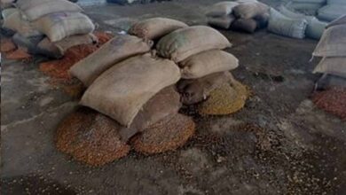 राजनांदगांव मंडी में जलभराव से हाहाकार, चबूतरों पर रखा धान भी भीगा