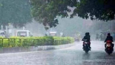 दंतेवाड़ा से छत्तीसगढ़ में मानसून की एंट्री, अगले 48 घंटे में तेज होंगी बारिश की गतिविधियां