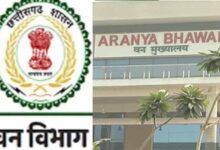 छत्तीसगढ़ वन विभाग में बड़ा फेरबदल, चार वरिष्ठ IFS अधिकारियों को मिली नई जिम्मेदारी