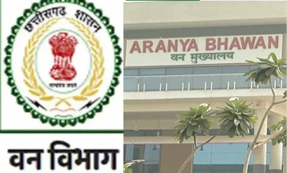 छत्तीसगढ़ वन विभाग में बड़ा फेरबदल, चार वरिष्ठ IFS अधिकारियों को मिली नई जिम्मेदारी छत्तीसगढ़ वन विभाग में बड़ा फेरबदल, चार वरिष्ठ IFS अधिकारियों को मिली नई जिम्मेदारी
