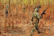 कांकेर के जंगल में नक्सलियों का विस्फोटक डंप बरामद, 4 बंदूकें और 2 वायरलेस सेट मिले