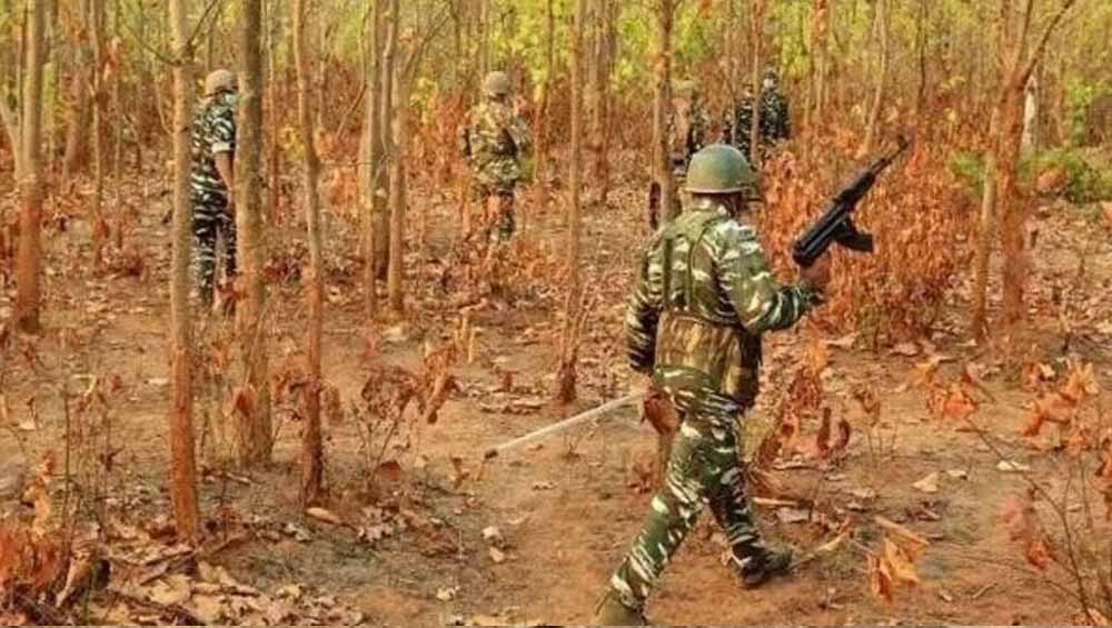 कांकेर के जंगल में नक्सलियों का विस्फोटक डंप बरामद, 4 बंदूकें और 2 वायरलेस सेट मिले