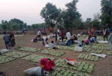बस्तर में तेंदूपत्ता खरीदी का नया रिकॉर्ड, फिर भी 50 हजार संग्राहकों ने नहीं किया संग्रहण कार्य