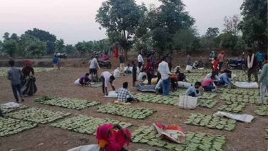 बस्तर में तेंदूपत्ता खरीदी का नया रिकॉर्ड, फिर भी 50 हजार संग्राहकों ने नहीं किया संग्रहण कार्य