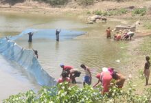 मत्स्य पालन बना ग्रामीण समृद्धि का सशक्त माध्यम