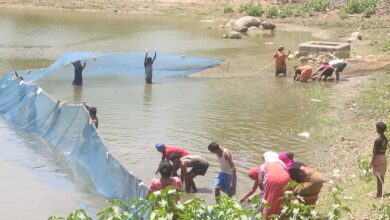 मत्स्य पालन बना ग्रामीण समृद्धि का सशक्त माध्यम