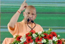 कुछ लोग गाय का दूध पिएंगे और सड़क पर छोड़ देंगे, जब वह फसल का नुकसान करेगी तो दोष मुझे देंगे: सीएम योगी