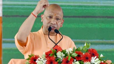 कुछ लोग गाय का दूध पिएंगे और सड़क पर छोड़ देंगे, जब वह फसल का नुकसान करेगी तो दोष मुझे देंगे: सीएम योगी