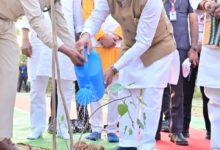 मुख्यमंत्री  विष्णु देव साय ने ‘एक पेड़ मां के नाम’ अभियान के तहत किया पीपल का पौधारोपण