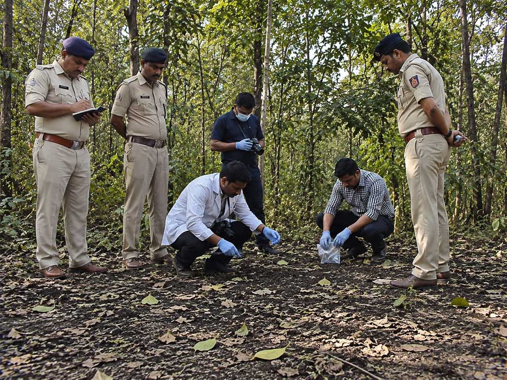 भोपाल में बुजुर्ग महिला की निर्मम हत्या, जंगल में मिला शव, लूटपाट की आशंका भोपाल में बुजुर्ग महिला की निर्मम हत्या, जंगल में मिला शव, लूटपाट की आशंका