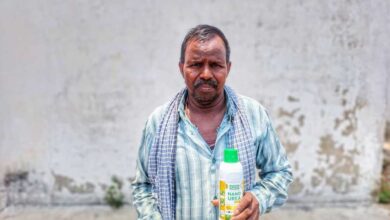 नैनो यूरिया और नैनो डीएपी से किसान मनोहर यादव की खेती बनी अधिक लाभकारी नैनो यूरिया और नैनो डीएपी से किसान मनोहर यादव की खेती बनी अधिक लाभकारी