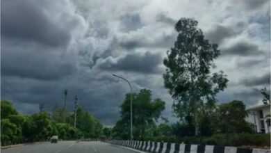 MP में नौतपा की विदाई, आंधी-बारिश से बदला मौसम; भोपाल समेत कई जिलों में बौछारें