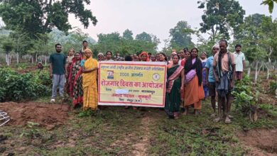 जशपुर की सभी ग्राम पंचायतों में रोजगार दिवस का आयोजन, मनरेगा से रोजगार और विकास को मिली नई गति
